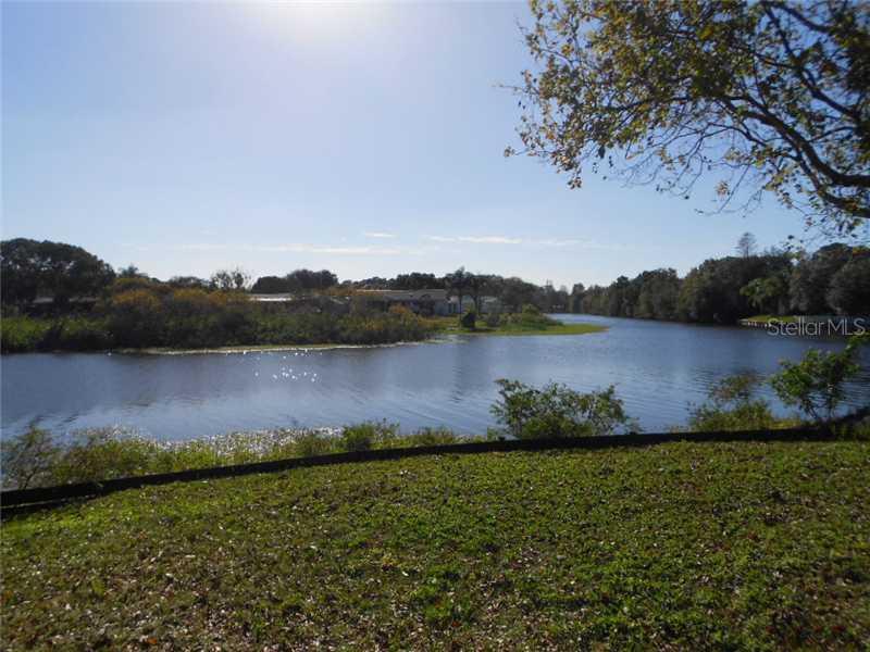 7166 Cedar Point Dr., New Port Richey, FL 34653