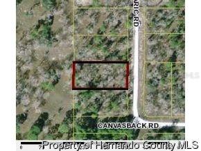 Chicaric Rd., Brooksville, FL 34614