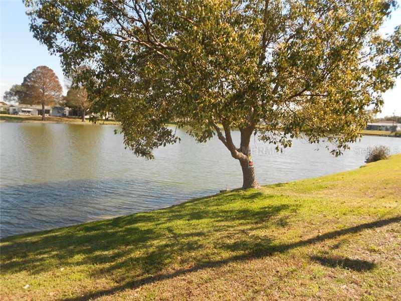 2126 Pamela Dr., Holiday, FL 34690