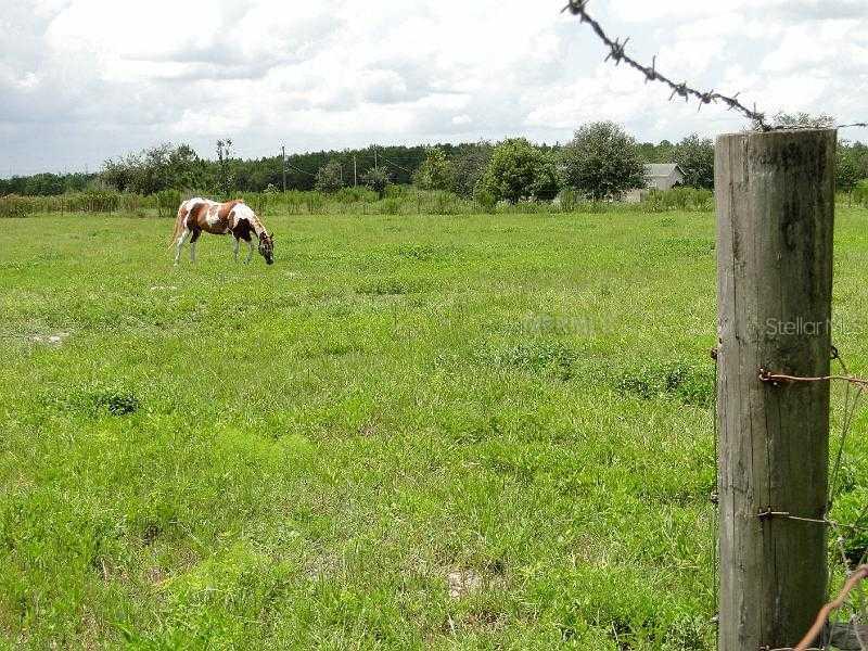 15110 Peach Bloom Rd., Brooksville, FL 34614