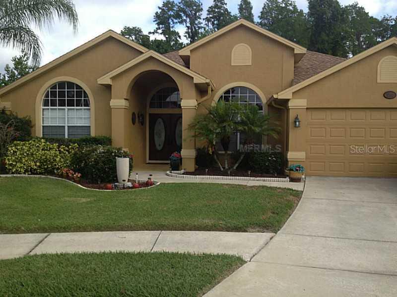 8143 Brumby Ct., Trinity, FL 34655