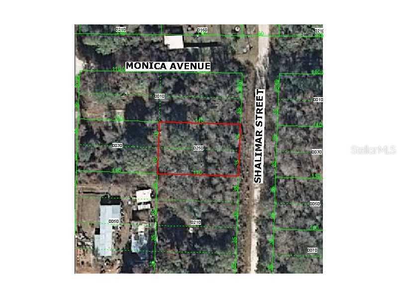 Shalimar St., New Port Richey, FL 34654