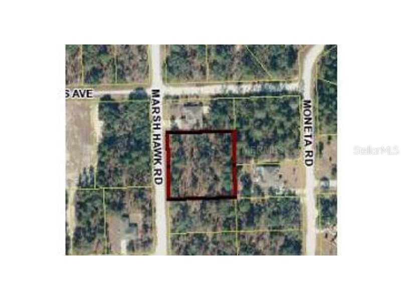 12410 Marsh Hawk Rd, Weeki Wachee, FL 34614