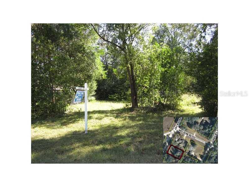 480 Jackson, Masaryktown, FL 34601