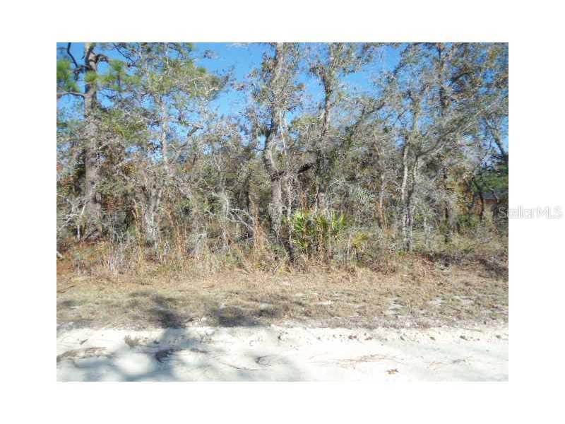 12195 Peregrine Falcon Ave, Weeki Wachee, FL 34614