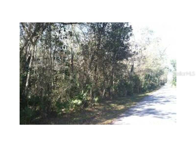 11376 Chalk Farm Rd, Spring Hill, FL 34609