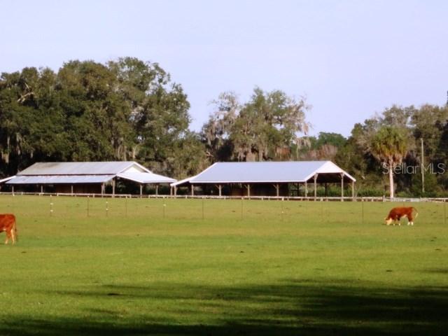 1000 Peruvian Pastures Lane E, Brooksville, FL 34601