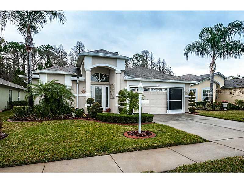 1149 Dustan Pl., Trinity, FL 34655