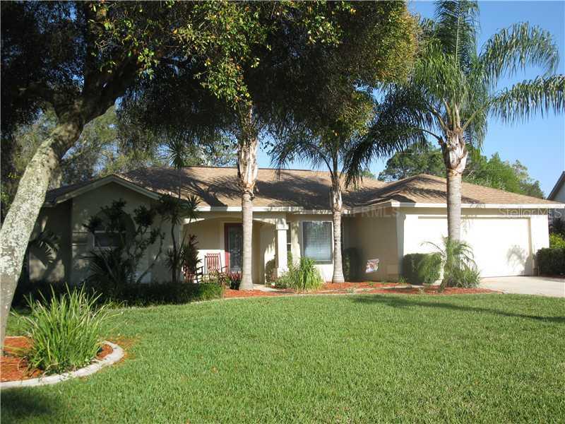 14338 Bronte Ct., Hudson, FL 34667