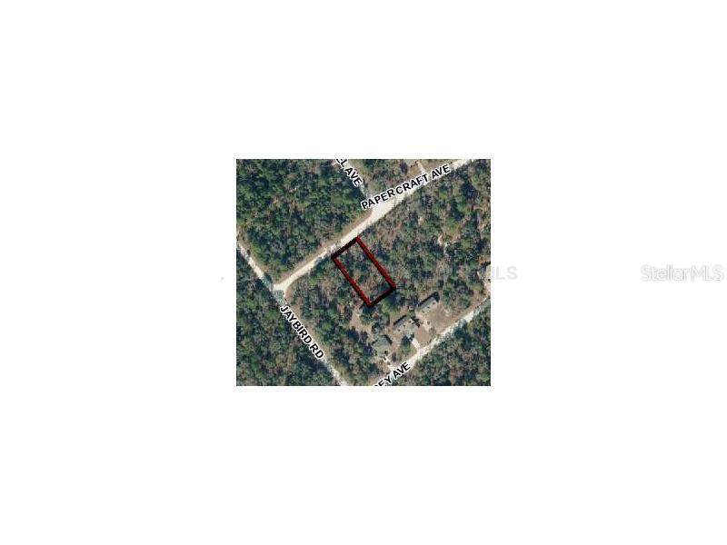 Papercraft Ave., Weeki Wachee, FL 34614