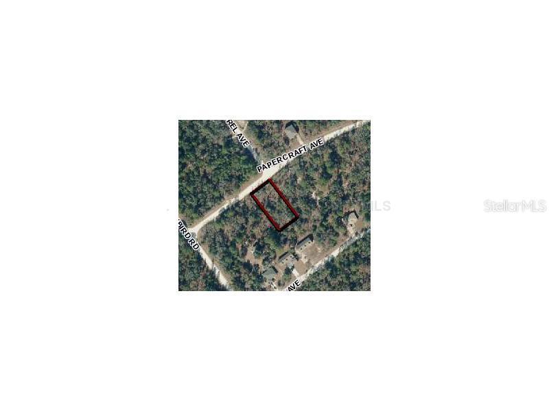 Papercraft Ave., Weeki Wachee, FL 34614