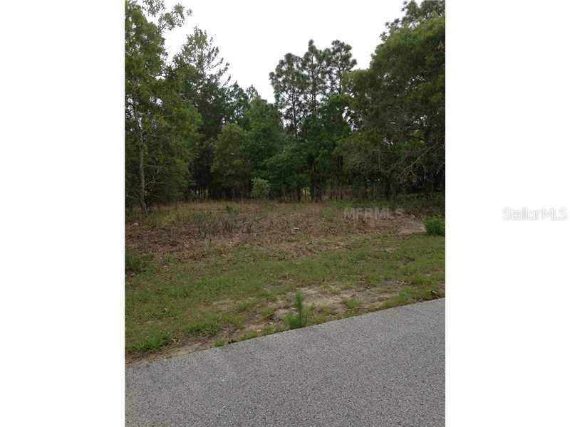 Rhine Avenue, Spring Hill, FL 34609