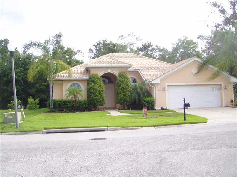 21055 Los Cabos Ct., Land O Lakes, FL 34637