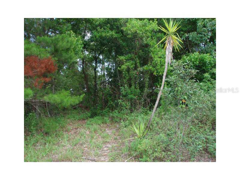 13424 Algoma Ave., Spring Hill, FL 34609