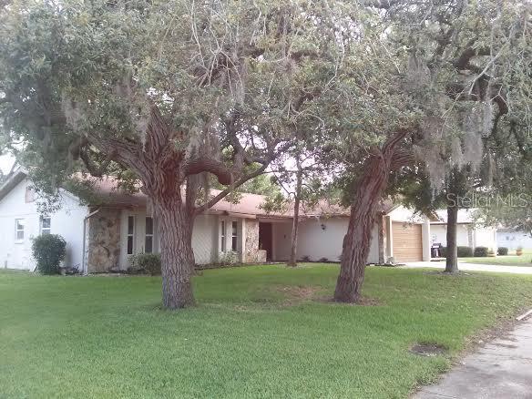 7803 Snapping Turtle Ct., Hudson, FL 34667