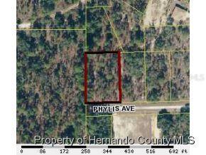 11115 NE Phylis Ave., Brooksville, FL 34614
