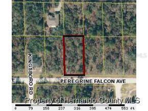 12051 Peregrine Falcon Ave., Weeki Wachee, FL 34614