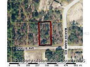 11135 Phylis Ave., Weeki Wachee, FL 34614