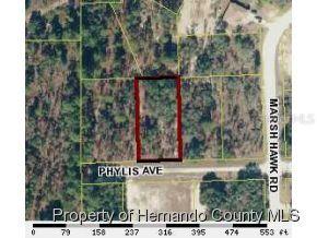 11125 Phylis Ave., Weeki Wachee, FL 34614