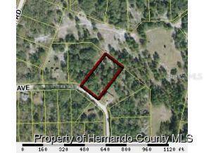 12144 Phoenix Ave., Weeki Wachee, FL 34614