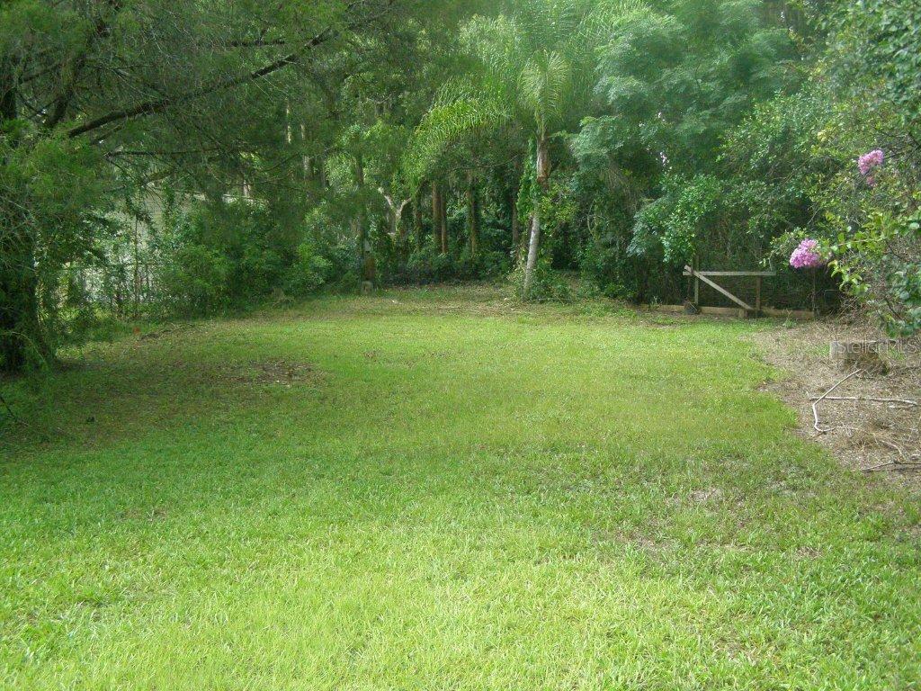 1635 Rowland Dr., Odessa, FL 33556