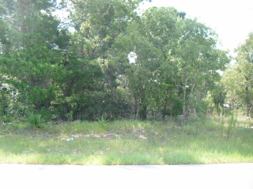 00 Todd Ln., Spring Hill, FL 34609