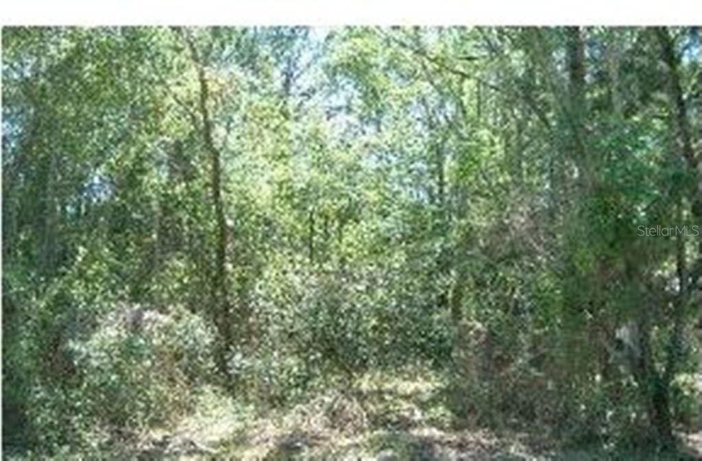 Gupton St, Brooksville, FL 34613
