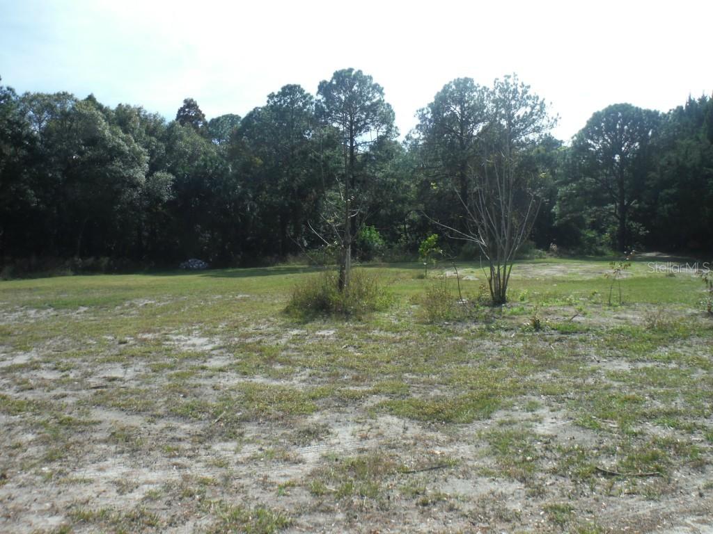 9415 Royal Palm Ave., New Port Richey, FL 34654