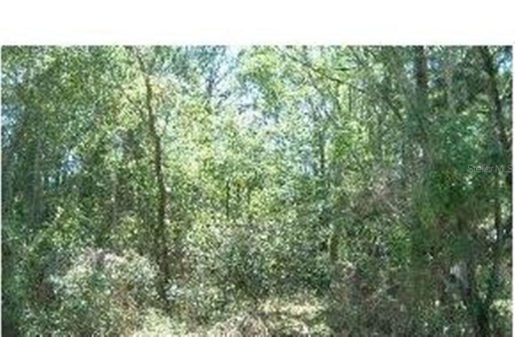 Drysdale St., Spring Hill, FL 34609