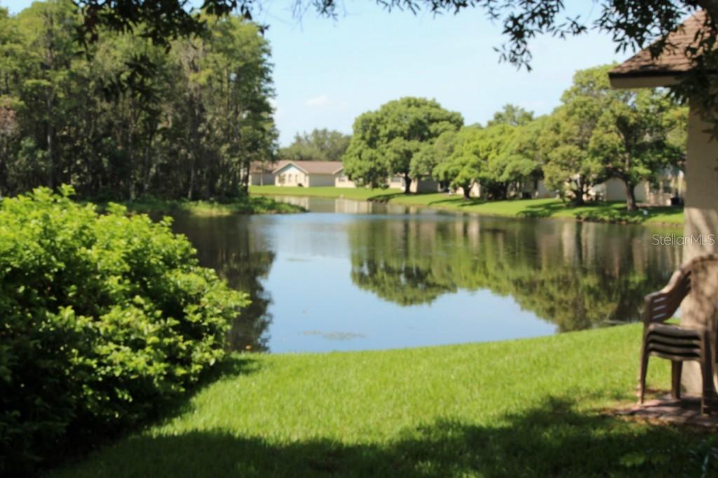 4806 Sheffield Dr., New Port Richey, FL 34655