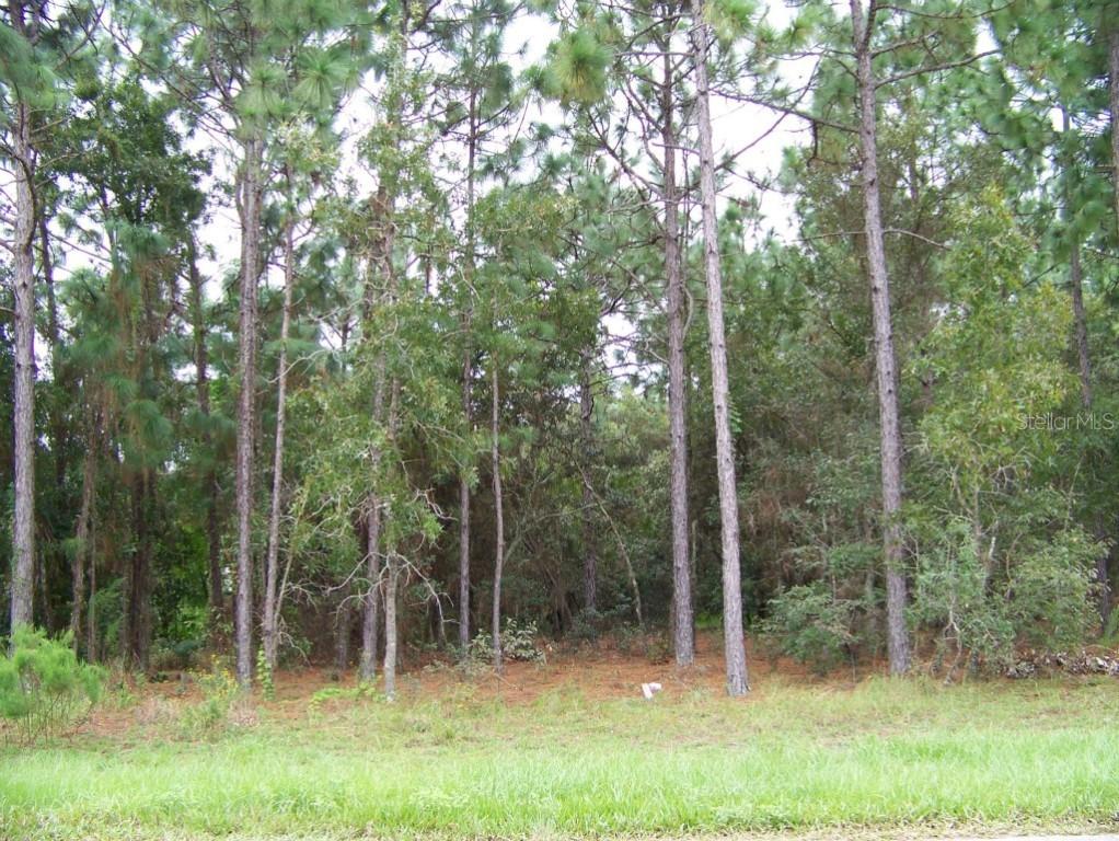 11378 Newington Ave., Spring Hill, FL 34609