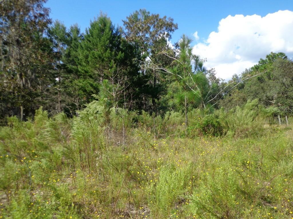 Sandy Dr., Brooksville, FL 34613