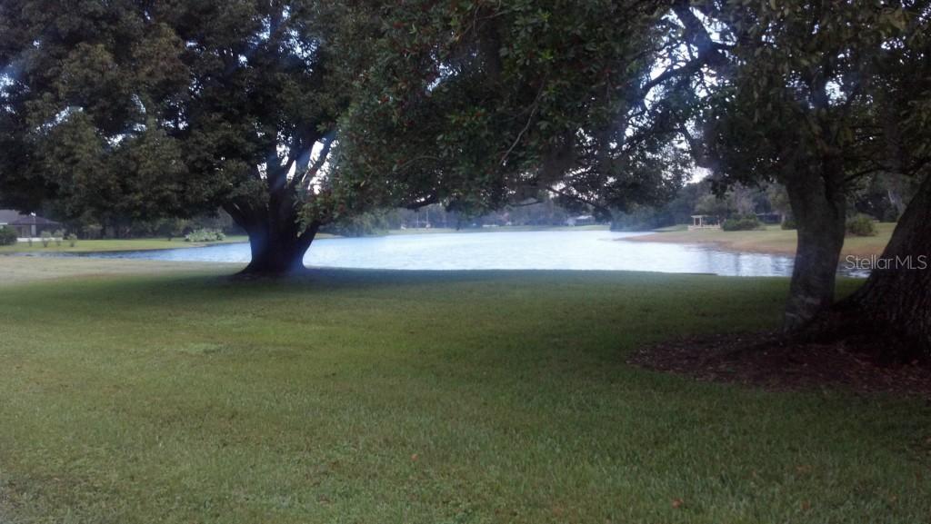 4241 River Birch Dr., Spring Hill, FL 34607