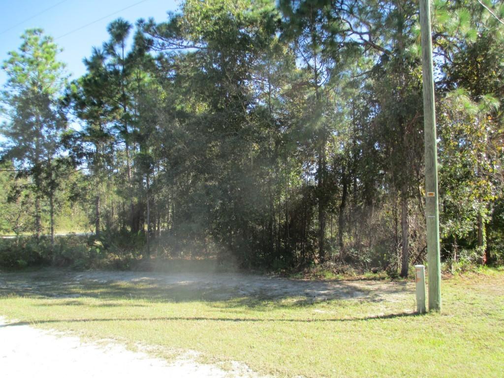 13416 Sooty Tern Ave., Weeki Wachee, FL 34614