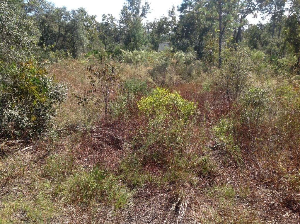 13220 Houston Ave Lot 39 Ave. #39, Hudson, FL 34667