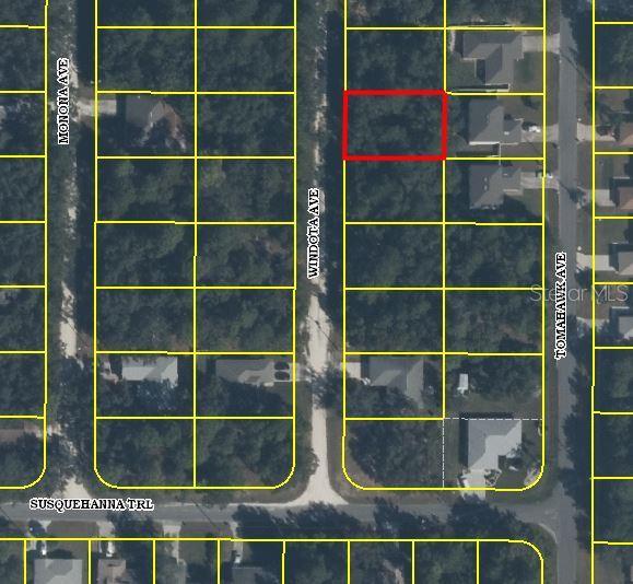 Windota Ave, Spring Hill, FL 34606