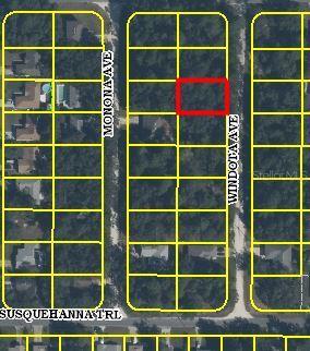 Windota Ave, Spring Hill, FL 34606