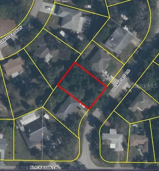 Sugarfoot Drive, Spring Hill, FL 34606