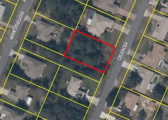Roble Ave, Spring Hill, FL 34608