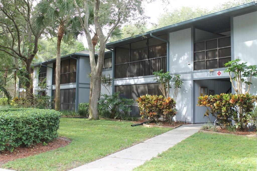 3241 Fox Chase Cir. #101, Palm Harbor, FL 34683
