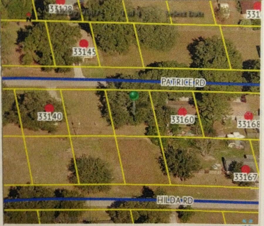 33152 Patrice Rd., Dade City, FL 33523