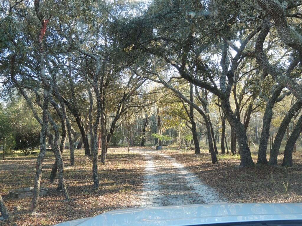 15600 Peter Max Blvd., Hudson, FL 34669