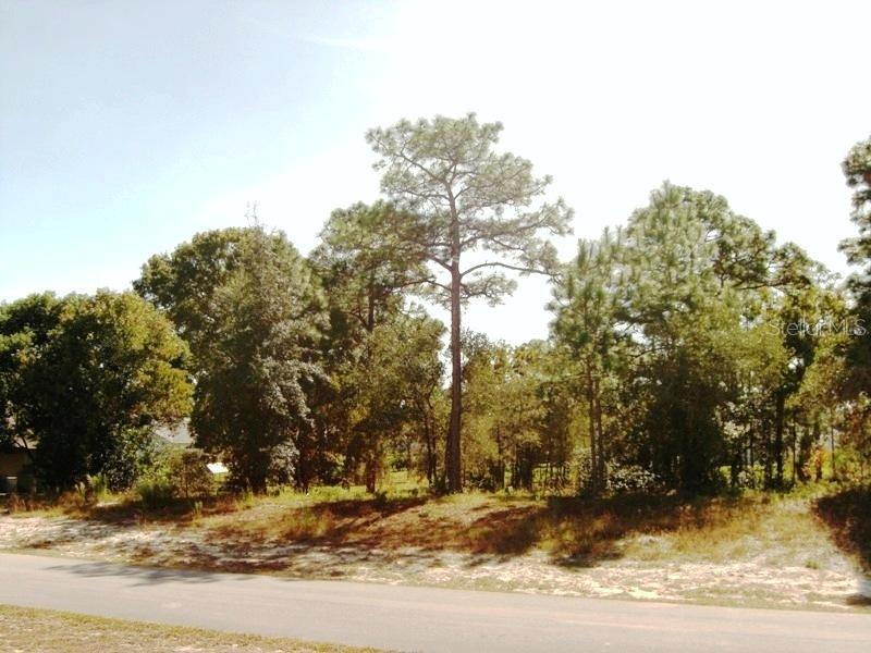 2570 Running Oak Ct., Spring Hill, FL 34608