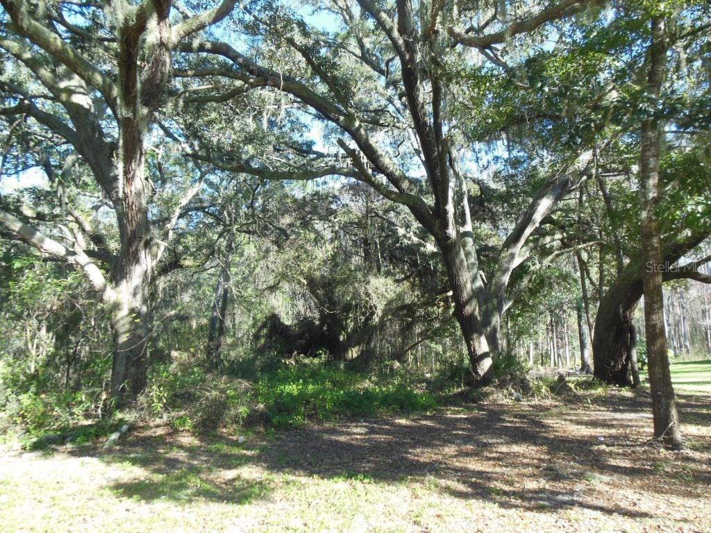 12110 Quail Ridge Dr., Spring Hill, FL 34610