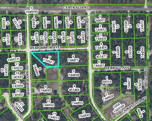 11260 Persimmon Ave., Weeki Wachee, FL 34614