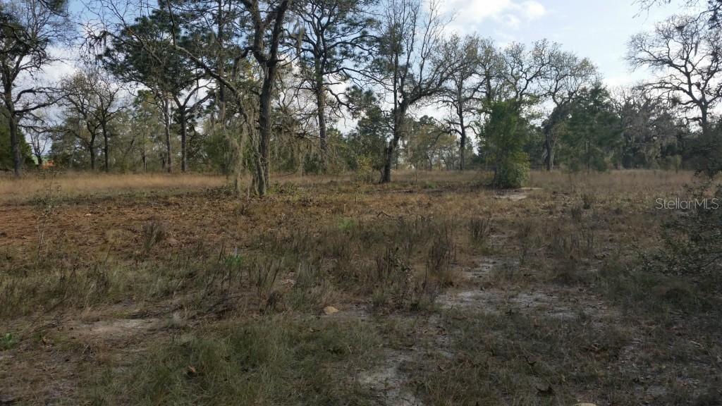 17236 Dalberg Dr., Spring Hill, FL 34610