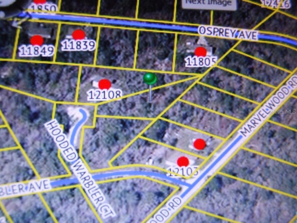 12100 Hooded Warbler Ct., Weeki Wachee, FL 34614