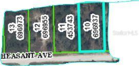 11461 Pheasant Ave., Weeki Wachee, FL 34614