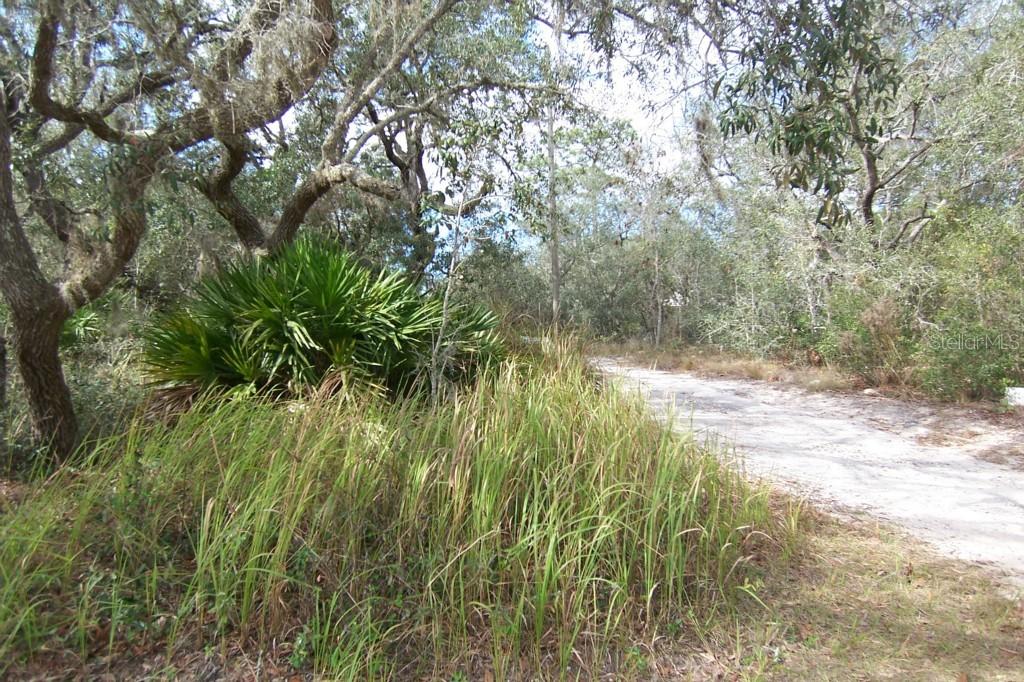 17813 Wendy Sue Ave., Hudson, FL 34667