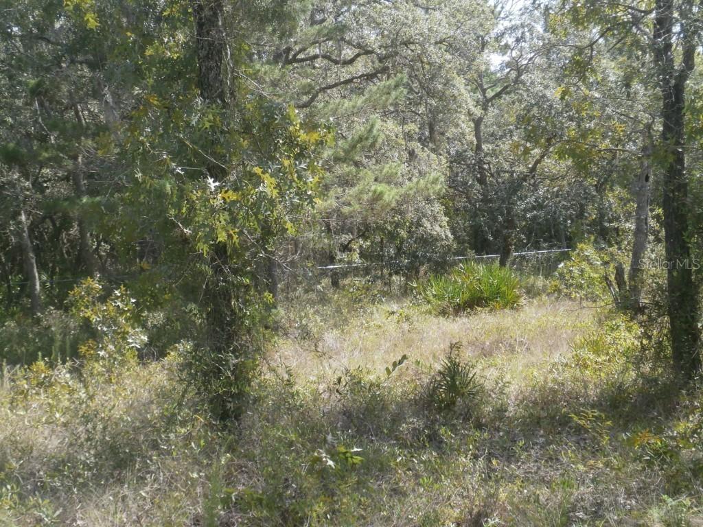 12191 Knuckey Rd., Weeki Wachee, FL 34614